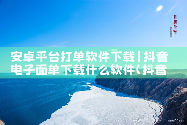 安卓平台打单软件下载