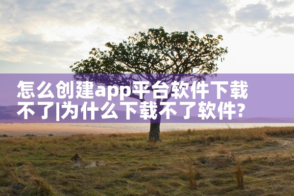 怎么创建app平台软件下载不了