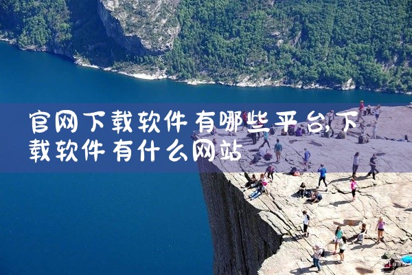 官网下载软件有哪些平台