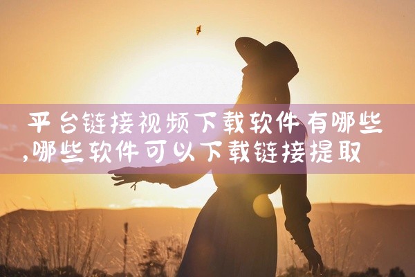 平台链接视频下载软件有哪些