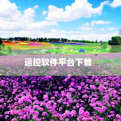 https://pan.baidu.com/s/1DJDoGDHnL-ewWK-StQIKWg?pwd=cng2 云控电表app是一款面向全国市民打造的智能电表服务平台，提供用电查询、缴费办理、服务网|