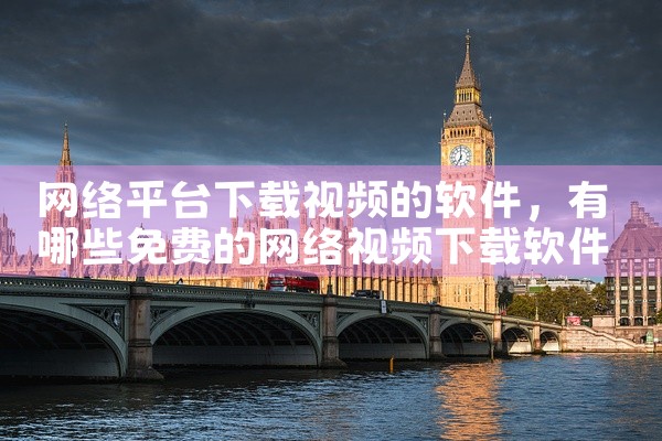 网络平台下载视频的软件
