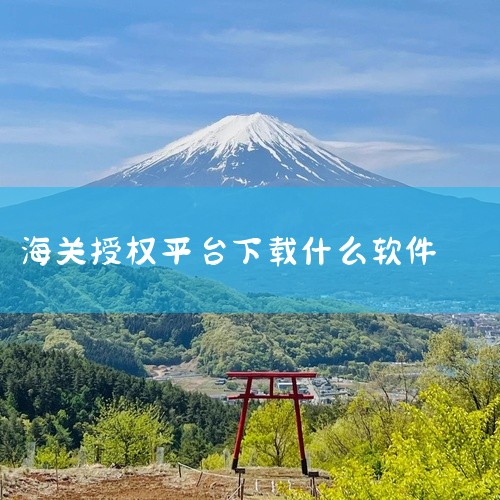 1. 海关总署官方网站 作为海关授权的重要平台之一，海关总署官方网站提供了丰富的海关政策法规、公告通知、统计数据等信息资源。进出口企业可通过该网站了解海关政策，并便捷地办理海关业务，如在线申报和查询等,